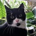 Muschbert (@muschbert1) Twitter profile photo Muschbert (@muschbert1) Twitter profile photo