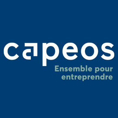 CapeosConseils Profile Picture