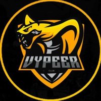 Vypeer Esports Club(@VypeerClub) 's Twitter Profile Photo