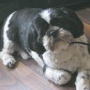 vicky kearns - @marymuffin - Twitter