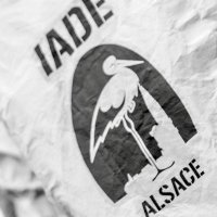 Collectif IADE Alsace (@iadealsace) 's Twitter Profile