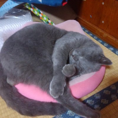 みやおさんのプロフィール画像