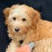 SLR (@sreingold) Twitter profile photo SLR (@sreingold) Twitter profile photo