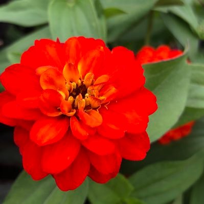 Farmer1913's profile picture. “May your choices reflect your hopes, not your fears.” - Nelson Mandela. Opinions are my own and not the views any organization.