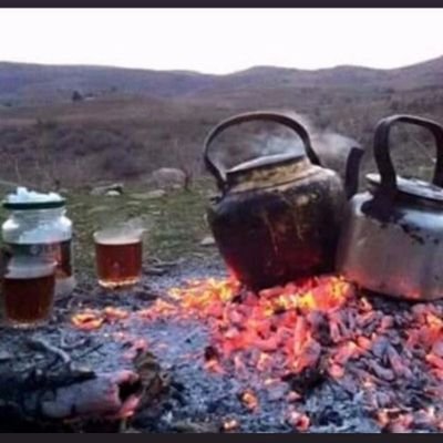 olsunkader's profile picture. 