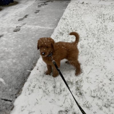 carney_robert's profile picture. South Jersey husband & father of two lovable urchins; Philly sports, movie, Animal Planet and grilled food enthusiast. #nevertrump