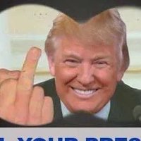 Deplorable chump thug🇺🇸🇺🇸🇺🇸(@10GNO70) 's Twitter Profile Photo