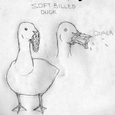 artnfart's profile picture. 