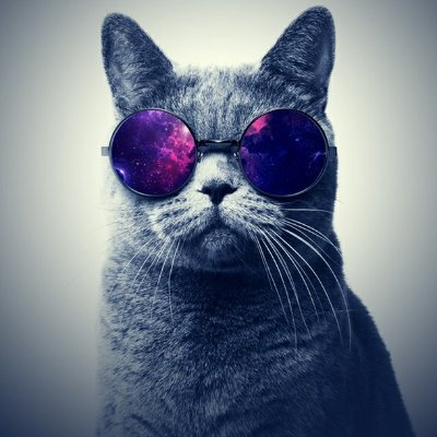 tommmybooyyy's profile picture. 