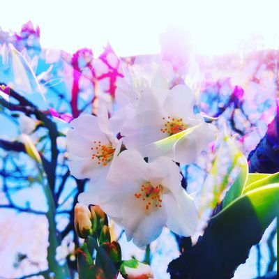 tokiyotokyo1's profile picture. @東京 江東区/#42tokyo#1月ピシン参加用