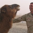 MAJ B - @GaryBouffard - Twitter