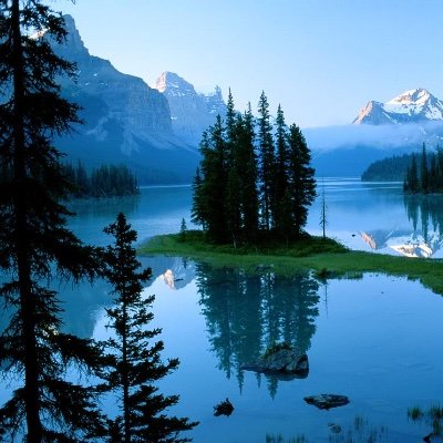 LucyinL's profile picture. 