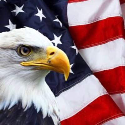 lroseyTX's profile picture. American Patriot, wife and mother