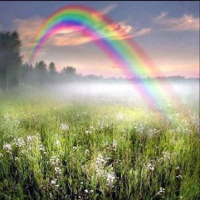 🌈 我是男同志,对不起。我对女人完全无感🌈
🌈🌈 I'm TaG from Penang。Malaysia
🇲🇾🇲🇾🇲🇾
🌈🌈Malaysian Chinese马来西亚。槟城。大山脚🌈
👉大喜大
👉大屌控
👉推特事止于推特