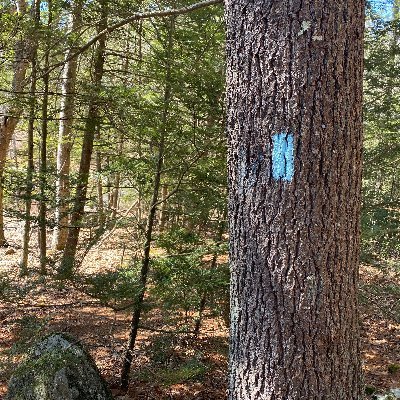 JimRoberts2000's profile picture. Chicagoan and Texan. NIU-SMU. Boy Dad. Awesome wife.