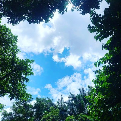 perlenote's profile picture. aloha* C(P)Pしています。 興味分野はナラティブ・EMDR・CPT・SPなど。 好きなものは、カリグラフィー、ファンタジー、こぎん、音楽、ぬり絵、瞑想、中華ドラマ。いかに健康に人生を生きていけるかが個人的なテーマのひとつ。お仕事と関係あったりなかったり。無言フォロー失礼します。 どうぞよろしく★