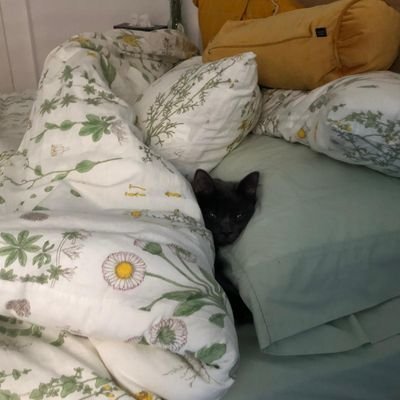 Mazamorra95's profile picture. Former Montreal gal
Made in PE 🇵🇪