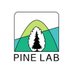 Plasticity in Neurodevelopment Lab (@pine_lab) Twitter profile photo