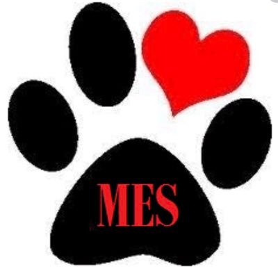 mesbearcats's profile picture. Montgomery Elementary School, MISD
https://t.co/91GDbQY8N7
https://t.co/XAWEJwLrCm
(936) 276-3600