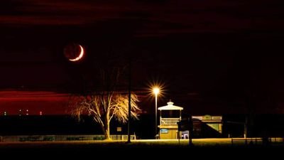 rouette88's profile picture. 