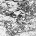 Stochastic Idol (@darsuvius) Twitter profile photo Stochastic Idol (@darsuvius) Twitter profile photo