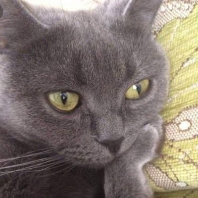 oceanfromthe_'s profile picture. 다시와, 가기만 하고 안 오면 안 돼