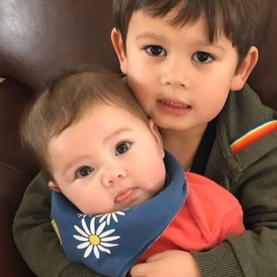 nolisirish's profile picture. A rooted oak outside Dublin’s M50. Go Canucks!