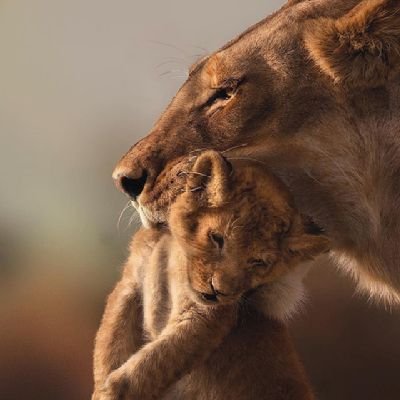 atulchaudhary51's profile picture. India🇮🇳