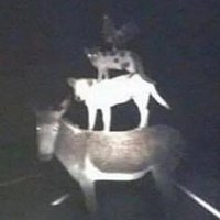 007SC (@sc007kc) 's Twitter Profile