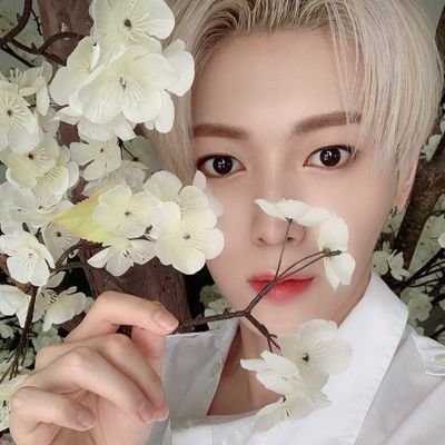 lgbtq+ || multistan || meu, starlight, tomoon, insomnia, inspirit, monbebe, lyOn, chesire, wenee, shawol, moomoo, weve, hidden kard, alice, aroha, and more