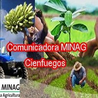 Delegación Provincial Agricultura Cienfuegos(@DelegMinag) 's Twitter Profile Photo