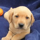 eric bowman - @ersubow - Twitter