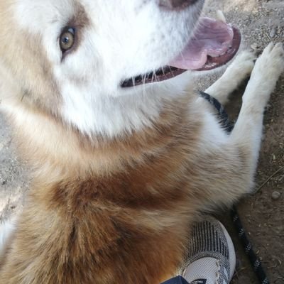 esteBan77919043's profile picture. Esteban