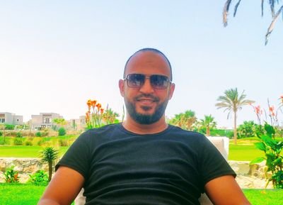 TawfeeKSayed4's profile picture. An Engineer