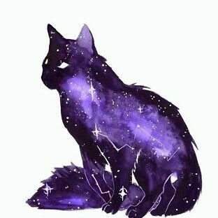 A_Galaxy_Cat Profile Picture