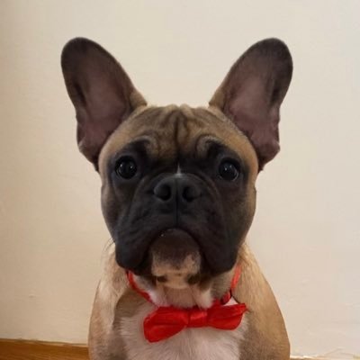 72rocaC's profile picture. Hard to stay on the sidelines with so many people on the wrong side of history #resistance #resist 🌊 🌊