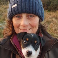 debbie McGowan (@incheochgranary) 's Twitter Profile Photo debbie McGowan (@incheochgranary) 's Twitter Profile Photo