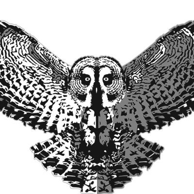 Grey Owl Studio—The Art of Michael Scott Phillips