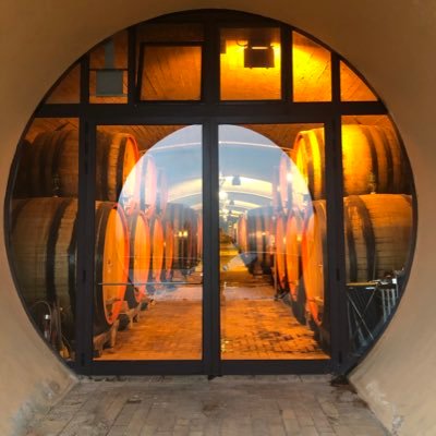 DonMenachem's profile picture. Nienawidze kosciola katolickiego za pyche,pedofilie i tych ,ktorzy mu sluza.Tenis i kitesurfing to moje zycie.