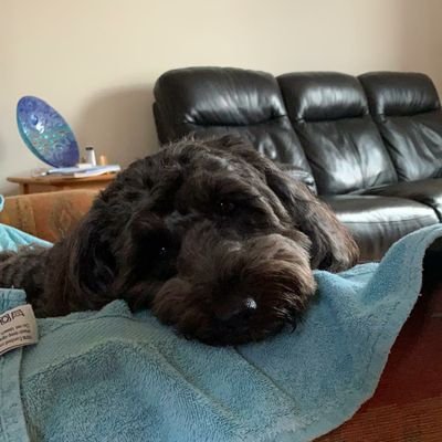 BrianRudman1's profile picture. Proud retired firefighter. Now working for the EA. Words are my own and sometimes make sense!