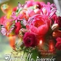 tarquini_marie's profile picture. rien