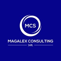 MAGALEX CONSULTING Sarl (@magalexsarl) 's Twitter Profile Photo