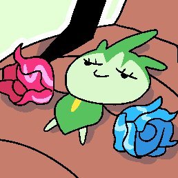 Ratonさんのプロフィール画像