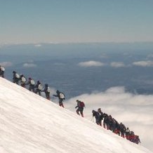 HolisticReflex's profile picture. God bless everyone who is fighting for the free world. Keep them safe O God; you are their hope.