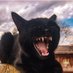 Totentanz (@zeitstempel1) Twitter profile photo Totentanz (@zeitstempel1) Twitter profile photo