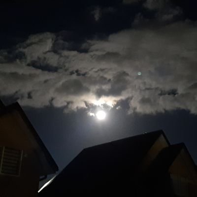 Marisol31775461's profile picture. Chilena patriota, amante de la historia de Chile, #RechazoElComunismo