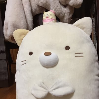 写真集「森の瞬間」(小学館)が国際野生写真協会主催ネイチャーフォトブックオブザイヤーを受賞。自然風景の撮影から、RAW現像、プリントまでのノウハウを伝授。写真教室 輝望フォトグラファーズ主宰は20年目。近著に、写真展『故郷 OTARI 小さな谷の物語』(学研プラス)がある。日本写真家協会会員。東京都写真美術館収蔵作家。