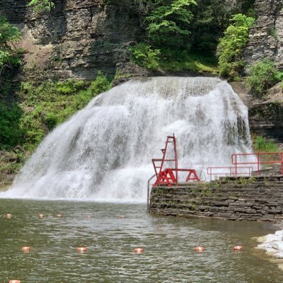 LouiseTeacha's profile picture. follower of Jesus, seeker of truth, proud avid anti vaxxer and retired RN