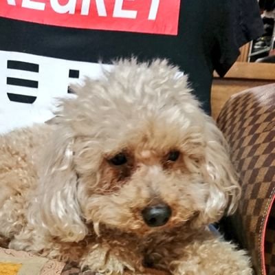 qVutynmvmK7FMst's profile picture. まゆです。