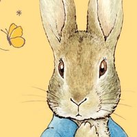 kube (@kube_z) 's Twitter Profile